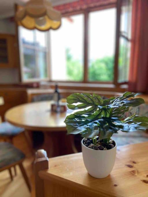Zentrale Wohnung Gmunden Alte Baeckerei Luaran gambar